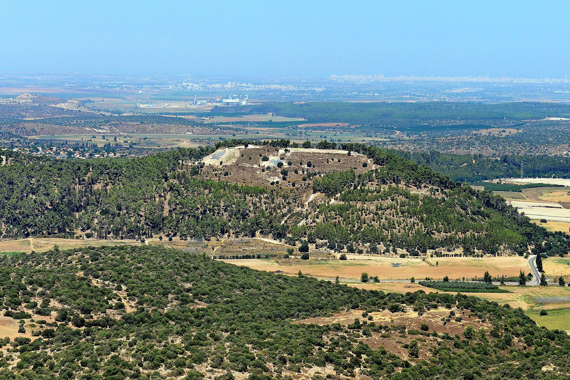 Rabbi's Dispatch from Israel