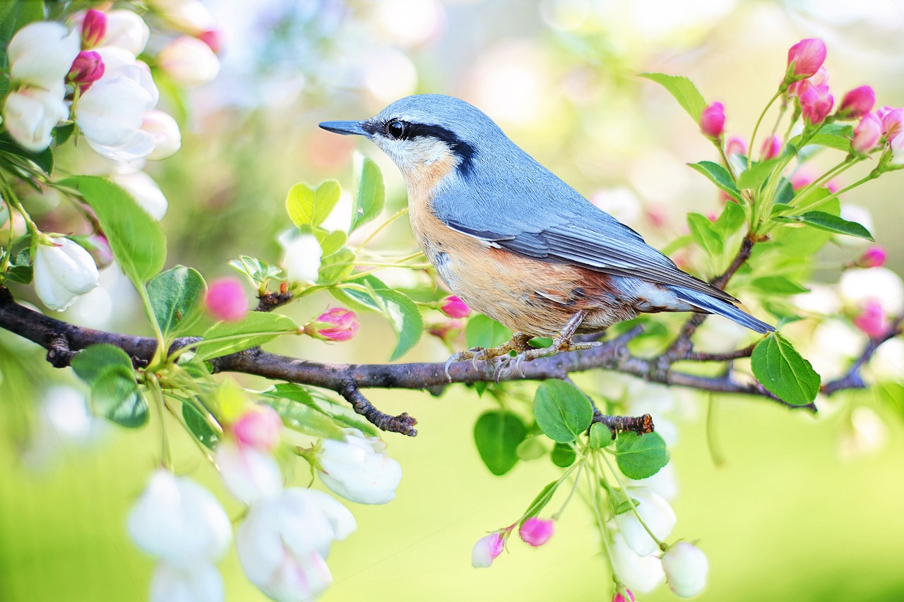 The 'High Holy Days' of Spring