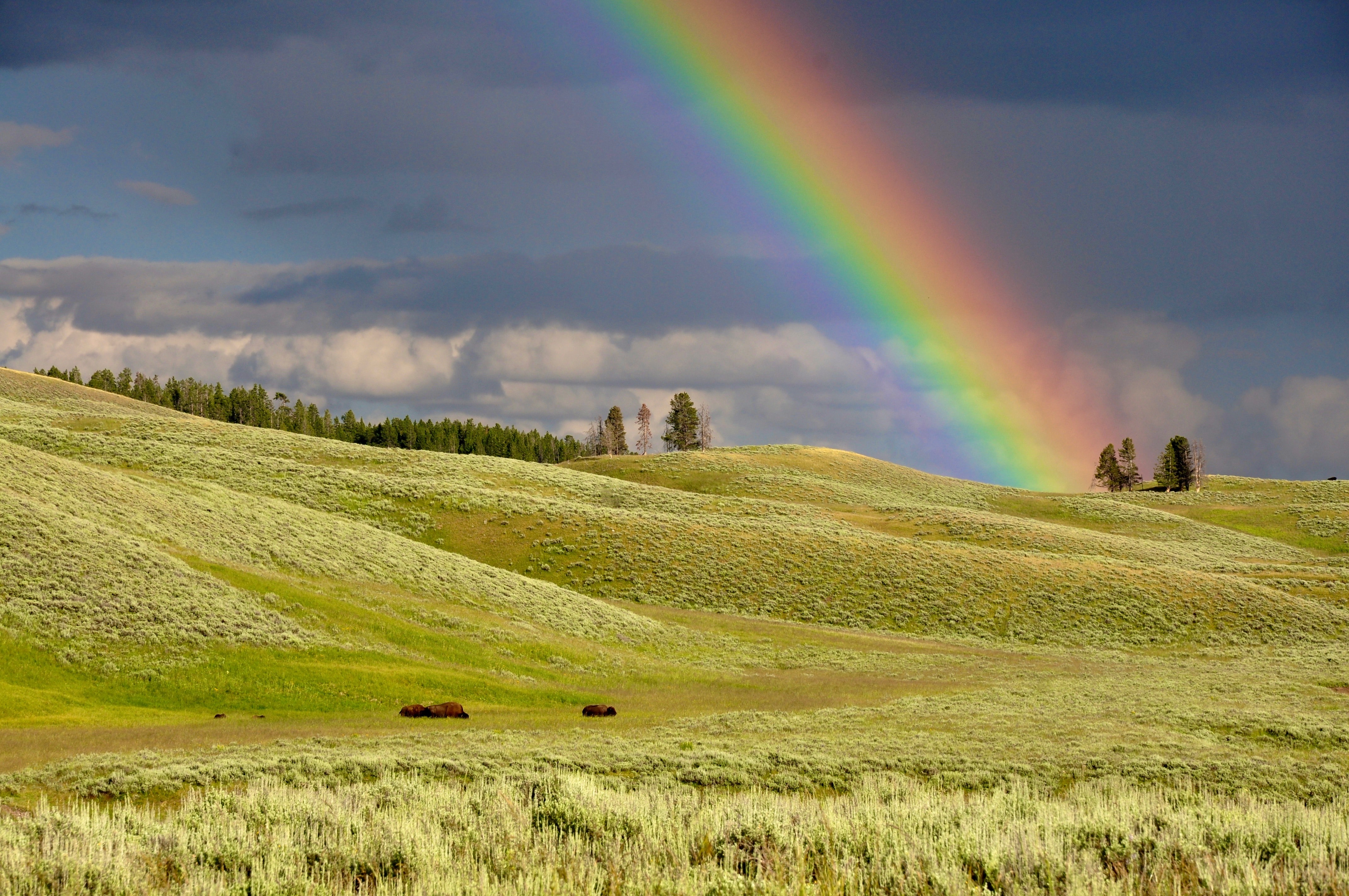 Sukkot: Singin’ for The Rain