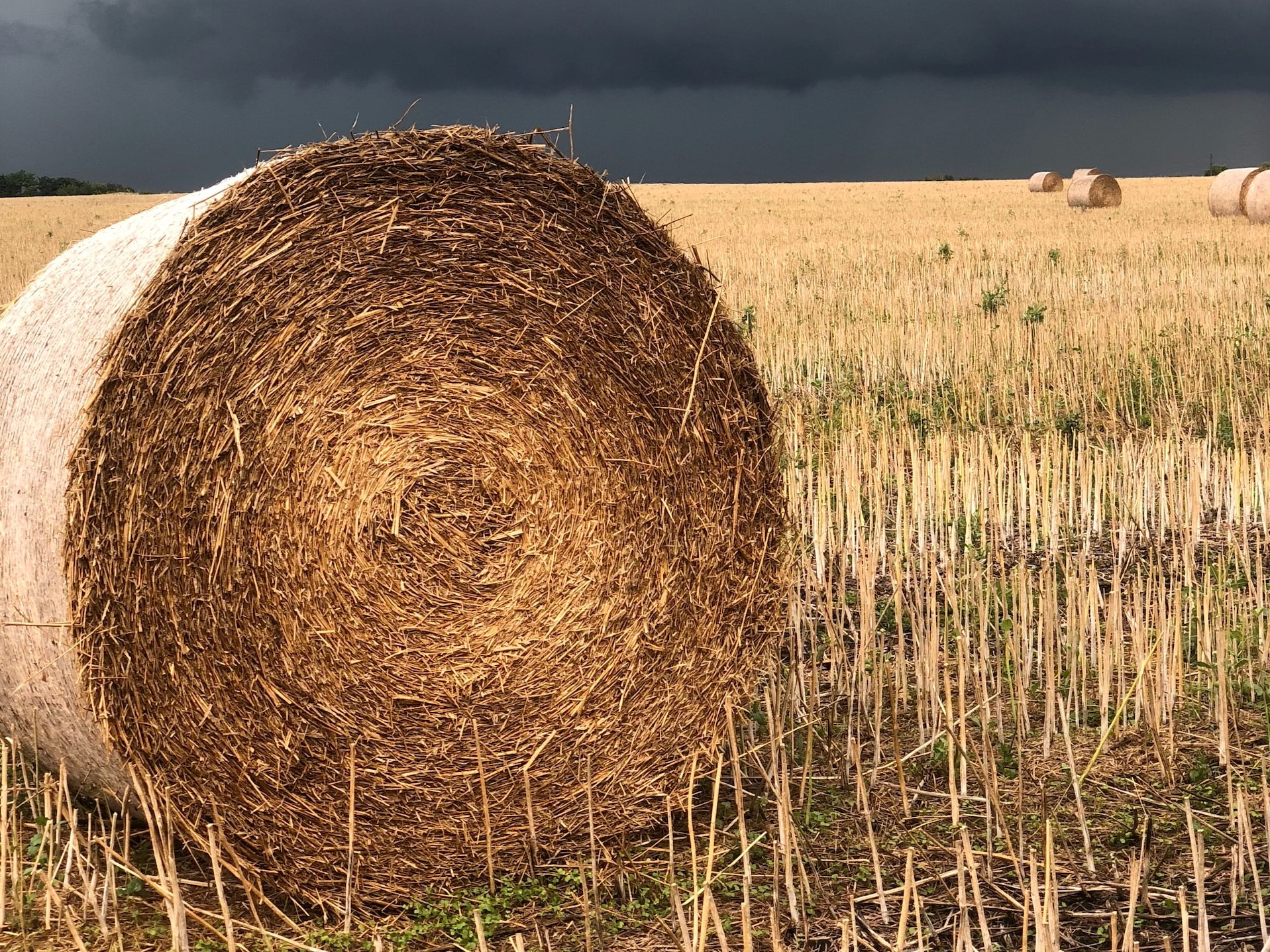 Store Your Grain in the Good Times