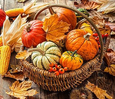 Closed | Thanksgiving Day