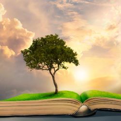 Lessons Learned Through Chasidic Tales